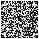 QR code with Progressive Designs contacts