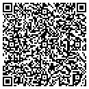 QR code with Precision Auto Clinic contacts