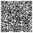 QR code with Professional Pools contacts