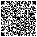 QR code with Pt Bearing Company contacts