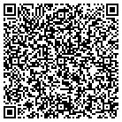 QR code with Professional Window Tint contacts