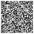 QR code with Pro Siding & Windows contacts