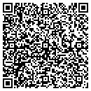 QR code with Carlisle Syn Tec Inc contacts