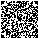 QR code with Pure Stroke Inc contacts