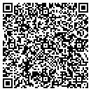 QR code with Precision Guesswork contacts