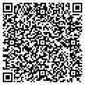 QR code with MJG Inc contacts
