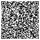 QR code with Clinton County Museum contacts