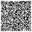QR code with Cedar Valley Aviation contacts