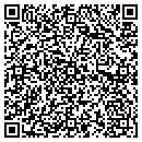 QR code with Pursuing Picasso contacts