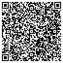 QR code with Premier Manufacturing contacts