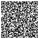 QR code with Pyle Terrys Automotive contacts