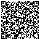 QR code with Carl Luze Real Estate contacts