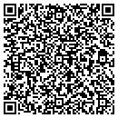 QR code with Blue Wave Ultrasonics contacts