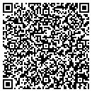 QR code with Pyle's Pump Service contacts