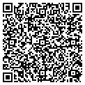 QR code with Signman contacts