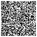 QR code with Techteam Global Inc contacts