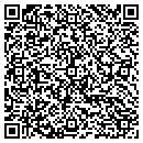 QR code with Chism Flying Service contacts