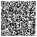 QR code with P Laing contacts
