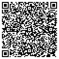 QR code with Papilon contacts