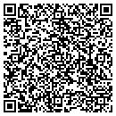QR code with Carrier Access Inc contacts