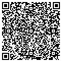 QR code with Willows contacts