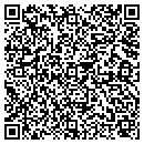 QR code with Collective Vision Inc contacts