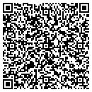 QR code with Preeti Seema contacts