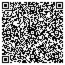 QR code with Precision Pumping contacts