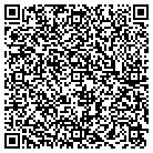 QR code with Pumphrey Architecture Inc contacts