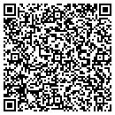 QR code with Cue Master Billiards contacts