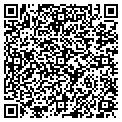 QR code with Gallery contacts