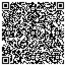 QR code with Carrier Access Inc contacts