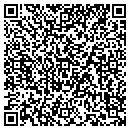 QR code with Prairie View contacts