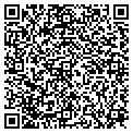 QR code with Wolin contacts