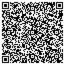 QR code with County of Woodbury contacts