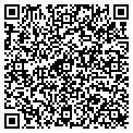 QR code with Z Team contacts