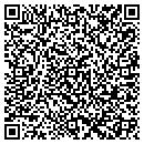 QR code with Borealis contacts