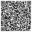 QR code with Insei contacts