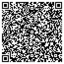 QR code with Collection Concepts contacts