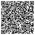 QR code with C Link contacts