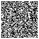 QR code with Boise Gutter contacts