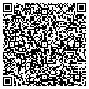 QR code with Professional Foundations contacts