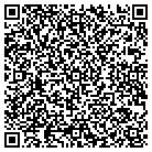 QR code with Professional Pool Table contacts