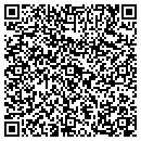 QR code with Prince Electronics contacts