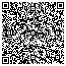 QR code with Custom Vinyl Concepts contacts