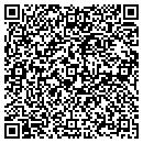 QR code with Carters Truck & Tractor contacts