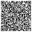 QR code with Boise Gutter contacts