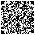 QR code with T Tax contacts