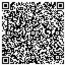 QR code with Cad Drafting Systems contacts