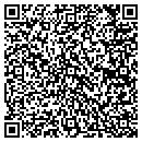 QR code with Premier Performance contacts